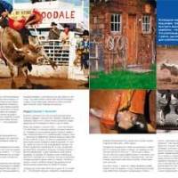 104_105_Rodeo