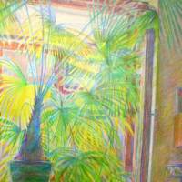 DSCN3047-—-копия